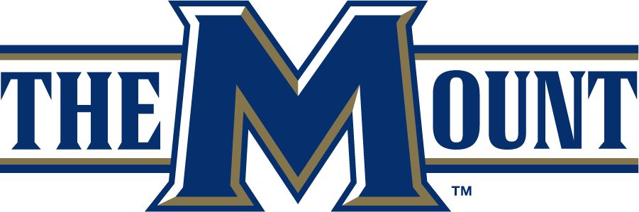 Mount St. Marys Mountaineers 2006-2016 Wordmark Logo v3 diy DTF decal sticker